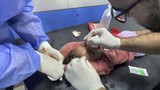 rs-al-shifa-gaza-jadi-target-serangan-israel-3_169
