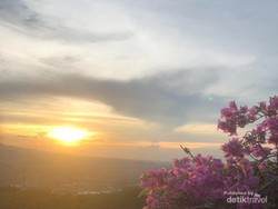 Bermalam di Pulau di La Nadiya Lampung