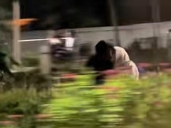 Viral Sejoli Ciuman di Taman Merjosari Kota Malang