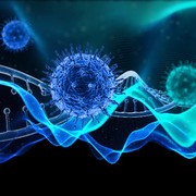 Waspada! Ini 6 Penyakit yang Sering Menyerang Selama Musim Pancaroba