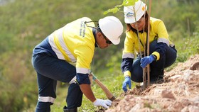 Komitmen Keberlanjutan Merdeka Copper Gold Raih 2 Penghargaan