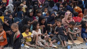 FOTO: 196 Imigran Rohingya Terdampar di Pantai Pidie Aceh