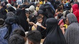 imigran-rohingya-terdampar-di-pidie-5_169 imigran-rohingya-terdampar-di-pidie-5_169