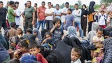 imigran-rohingya-terdampar-di-pidie-6_169 imigran-rohingya-terdampar-di-pidie-6_169