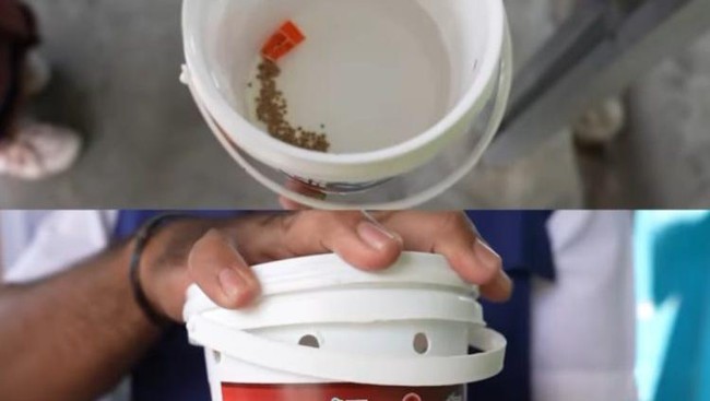 Kementerian Kesehatan menerapkan inovasi teknologi wolbachia untuk menurunkan penyebaran Demam Berdarah Dengue di Indonesia.