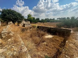 Arkeolog Telusuri Desa Palestina yang Dibuldoser Usai Nakba 1948
