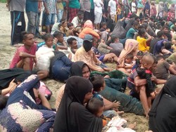 Lagi, Seratusan Pengungsi Rohingya Terdampar di Pidie Aceh