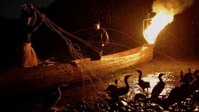 FOTO: Mancing Mania ala Jepang, Pakai Burung Buat Tangkap Ikan