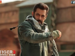 Pengancam Salman Khan Ditahan, Ini Sosok Pelakunya