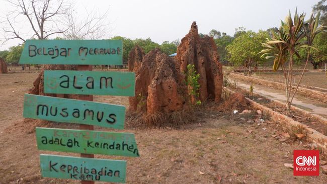 Sekitar 70 kilometer dari pusat Kabupaten Merauke, di wilayah Distrik Kurik, beragam Musamus alias sarang semut, dengan ketinggian yang variatif bisa dijumpai.