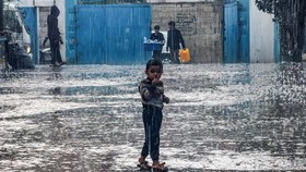 Gaza Diguyur Hujan Lebat, Warga Terancam Banjir dan Terkena Penyakit