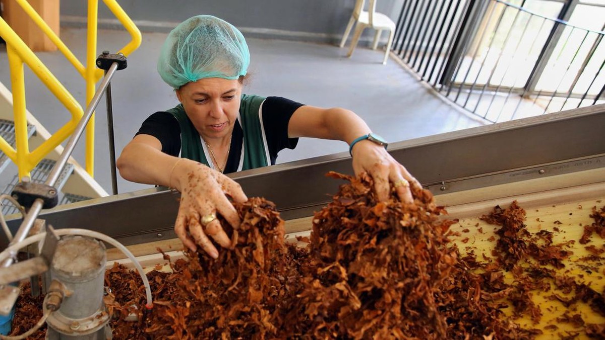Industri Rokok Kretek Teriak Kontraksi-Ingatkan Ancaman Baru, Ada Apa?