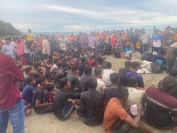 174 Imigran Rohingya Kembali Mendarat di Pidie Aceh