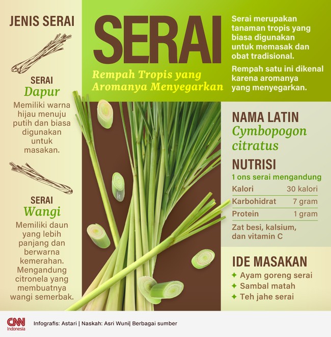 Serai atau sereh dikenal sebagai salah satu rempah yang aromanya menyegarkan. Berikut informasi mengenai serai.
