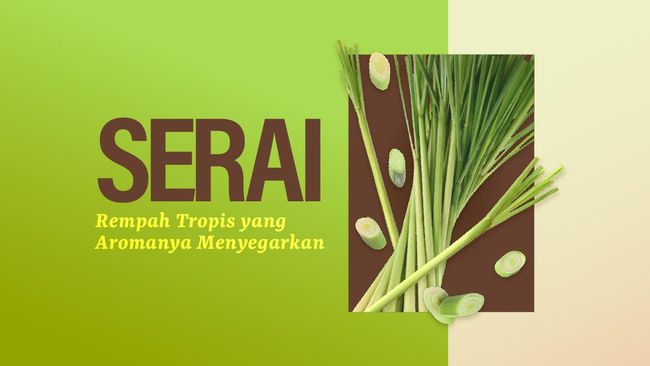 INFOGRAFIS: Terbuai Aroma Serai yang Menyegarkan INFOGRAFIS: Terbuai Aroma Serai yang Menyegarkan