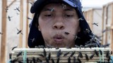 larva-lalat-jadi-protein-untuk-pakan-ternak_169 larva-lalat-jadi-protein-untuk-pakan-ternak_169