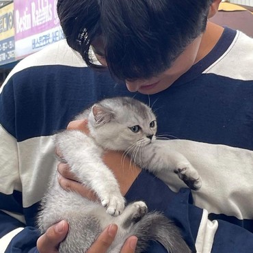 Ustaz Khalid Basalamah Imbau Tak Pelihara Kucing di Rumah Walau Lucu, Alasannya...