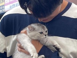 Ustaz Khalid Basalamah Imbau Tak Pelihara Kucing di Rumah Walau Lucu, Alasannya...