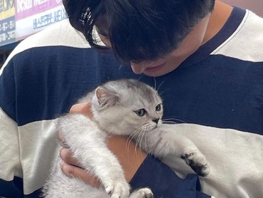 img-title Ustaz Khalid Basalamah Imbau Tak Pelihara Kucing di Rumah Walau Lucu, Alasannya...