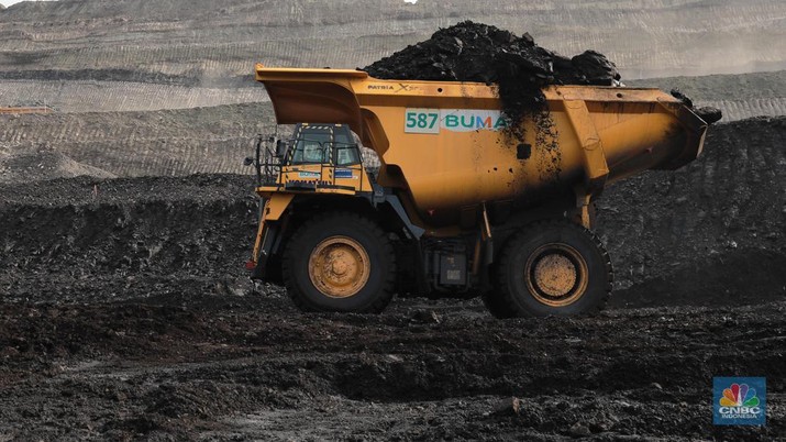 Aktivitas pertambangan batubara milik Bayan Resources di Tabang/Pakar, Kalimantan, Jumat (17/11/2023). (CNBC Indonesia/Muhammad Sabki)