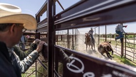FOTO: Texas dan Daging Sapi yang Tak Sekadar Gaya Hidup