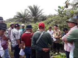 KLHK Menangkan Gugatan Atas PT KA yang Sebabkan Karhutla Seluas 1.000 Ha