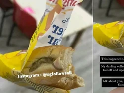 Makan Roti Kemasan, Wanita Ini Temukan Bangkai Cicak di Dalam Rotinya