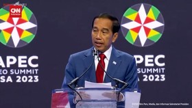 VIDEO: Di APEC CEO Summit Jokowi Pamer Stabilitas Ekonomi Dan Politik