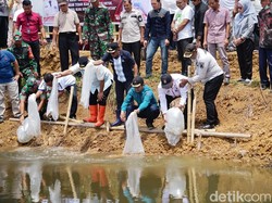Pj Gubernur Sulsel Tebar 50.000 Benih Ikan Nila di Bone: Untuk Cegah Stunting
