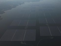 Ini Dia PLTS ke-3 Terbesar Dunia yang Dipamerkan Jokowi