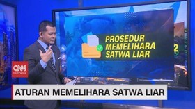 VIDEO: Aturan Memelihara Satwa Liar