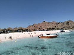 23.601 Turis Diving-Snorkeling di Labuan Bajo