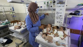 FOTO: Bayi-bayi Prematur Tanpa Orang Tua Dievakuasi dari RS Al Shifa