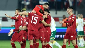 Daftar 17 Tim Negara Lolos Euro 2024