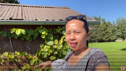 Detik Network