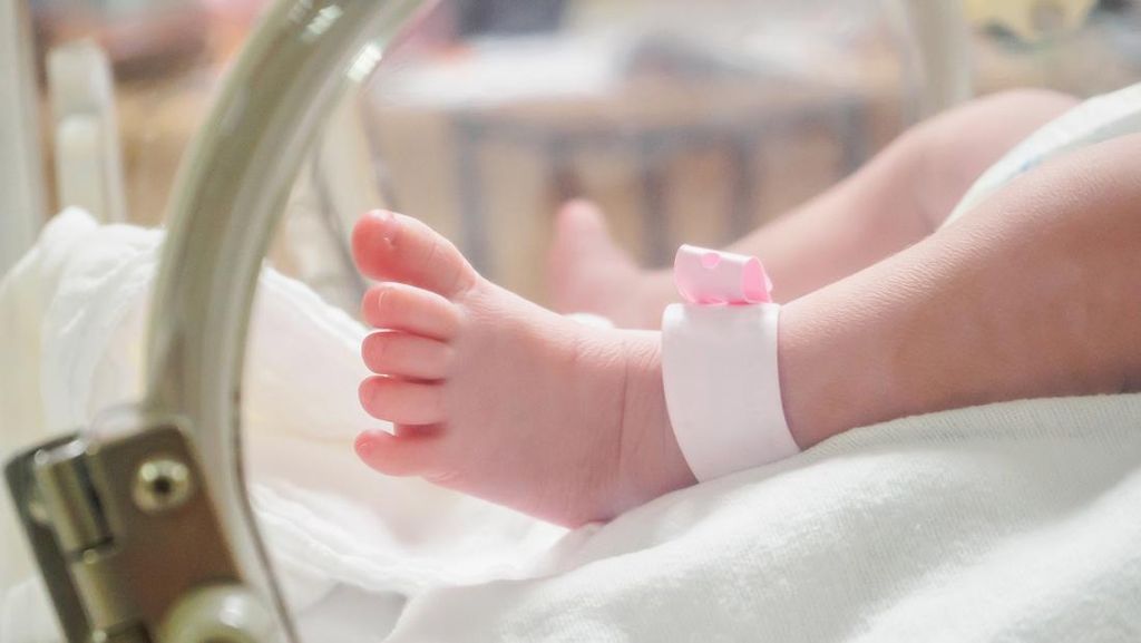 Viral Bayi Diberi Makan Telur Mentah Meninggal Dunia