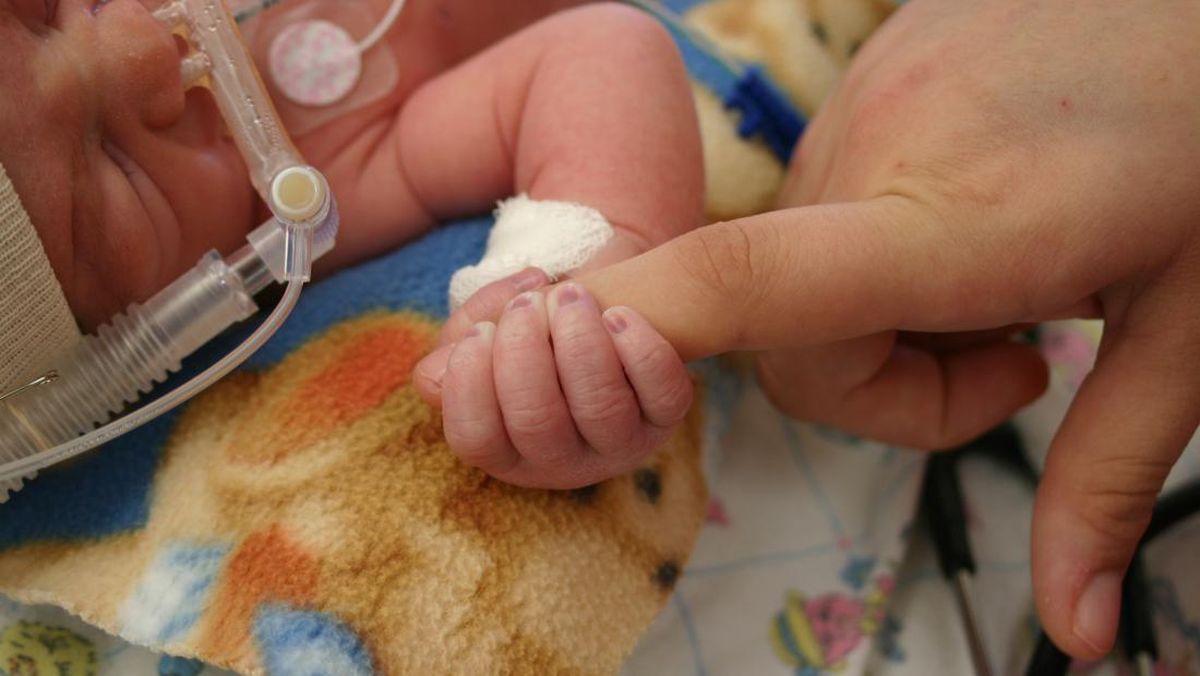 Update Nasib 6 Anak yang Diamankan dari Sindikat Jual Bayi di Bandung