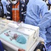 100 Bayi Prematur di Gaza Kritis Imbas Kondisi RS yang Nyaris Kolaps