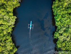 Desa BRIlian: Desa Wisata Palaes Andalkan Hutan Mangrove untuk Pikat Wisatawan