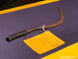 Kasun di Jember Bacok Warganya Diduga gegara Masalah Tanah