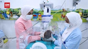 VIDEO: Momen Haru Saat 28 Bayi Prematur Tiba di Mesir