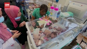 VIDEO: Kelahiran Bayi Prematur di Gaza Meningkat