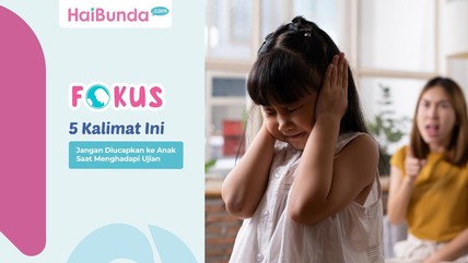 Detik Network
