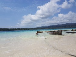Kawasan Ujung Kulon Ditetapkan Jadi Geopark Nasional