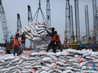 Tendang Thailand, Tetangga RI Jadi Raja Baru Beras Dunia Tendang Thailand, Tetangga RI Jadi Raja Baru Beras Dunia