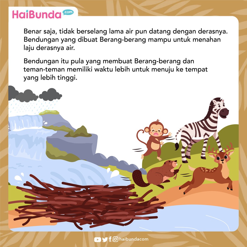 Berang-berang ditertawai hewan lain ketika membangun bendungan di sungai untuk mencegah airnya meluap di musim hujan&period; Lalu&comma; apa yang terjadi pada mereka&quest;