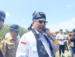 Produksi Gula Defisit, Kementan Dorong Pemanfaatan Lahan Tebu