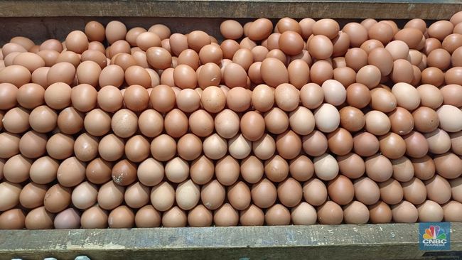 Harga Telur Ayam Lampaui Acuan Pemerintah, Mendag Zulhas Bilang Begini