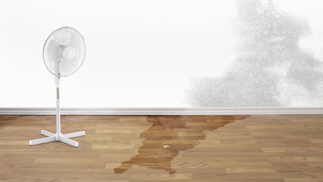 Cara Ini Ampuh untuk Mengatasi Dinding yang Bocor di Musim Hujan  