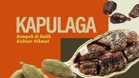 INFOGRAFIS: Kapulaga, Rempah Asli Indonesia Punya